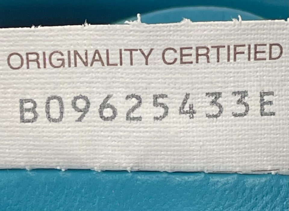 THE MINI SHINY POUCH