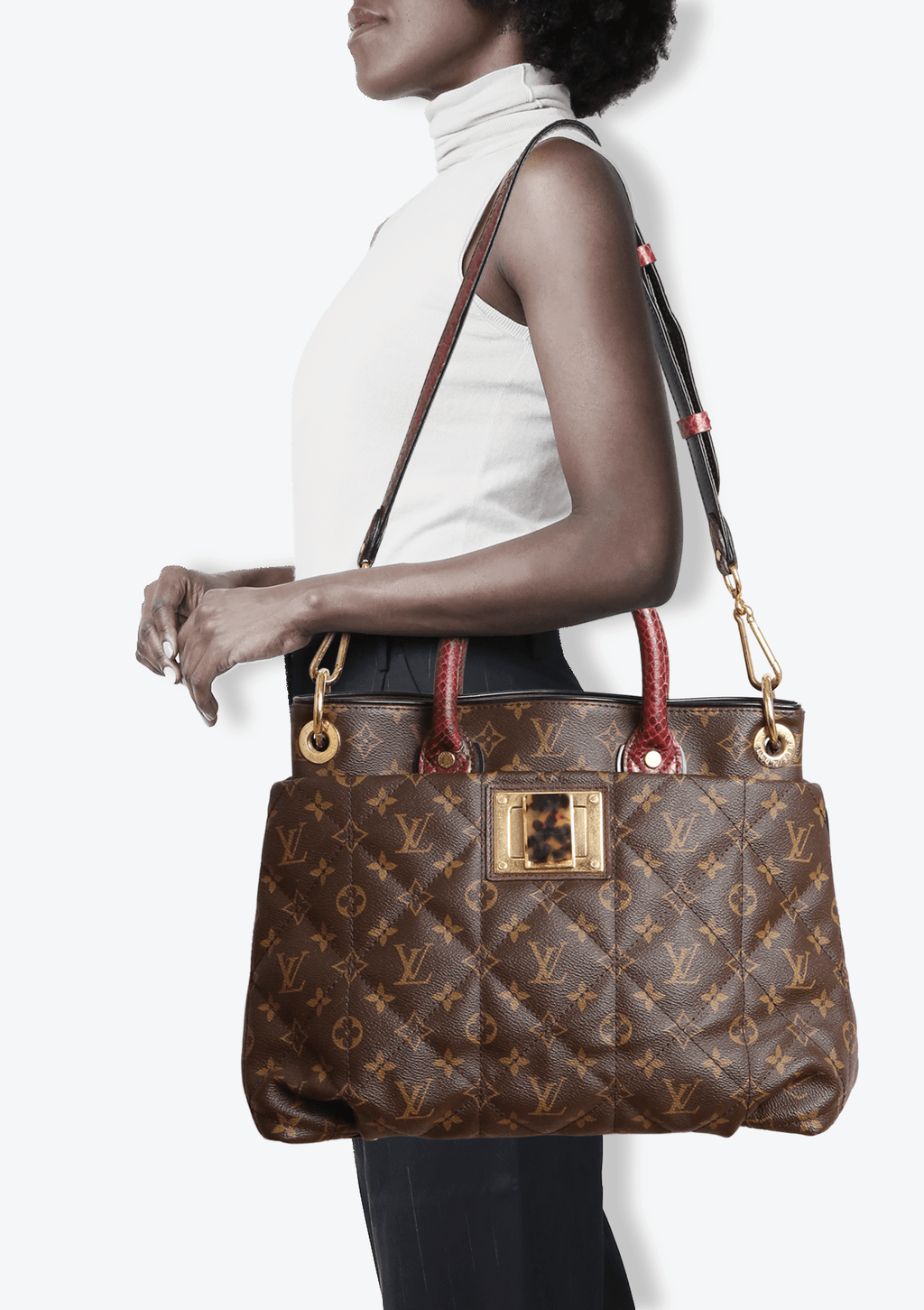 Louis Vuitton Monogram Python & Ostrich Etoile Exotique MM - Brown Handle  Bags, Handbags - LOU748260