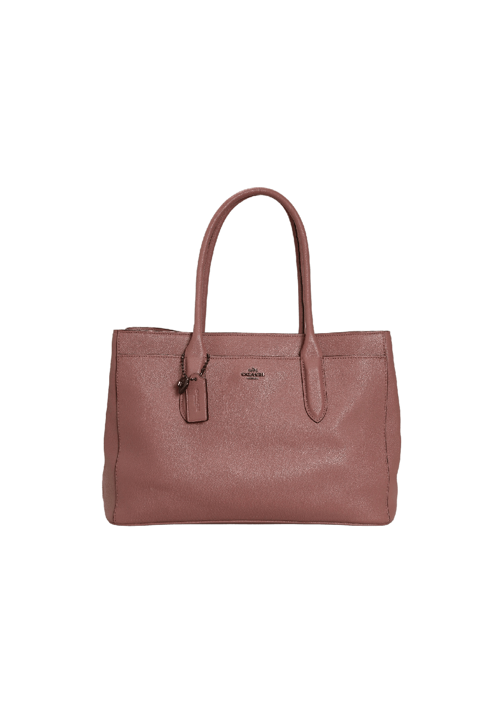 Coach online bailey carryall