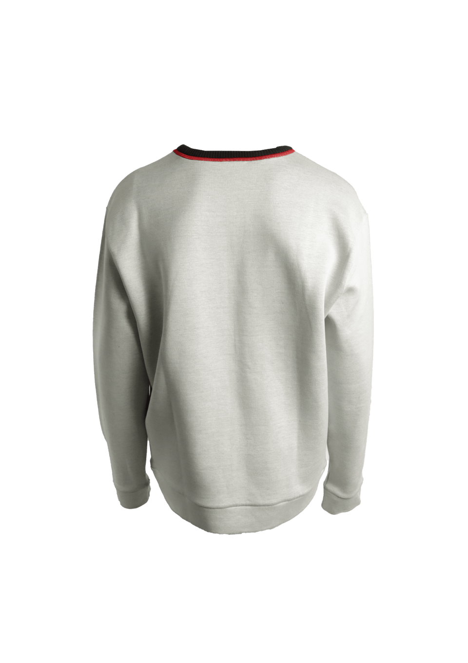 PRINTED SWEATSHIRT GG