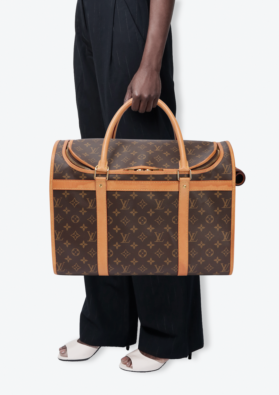 MONOGRAM SAC CHIEN