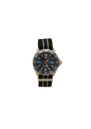 FORMULA 1 WATCH