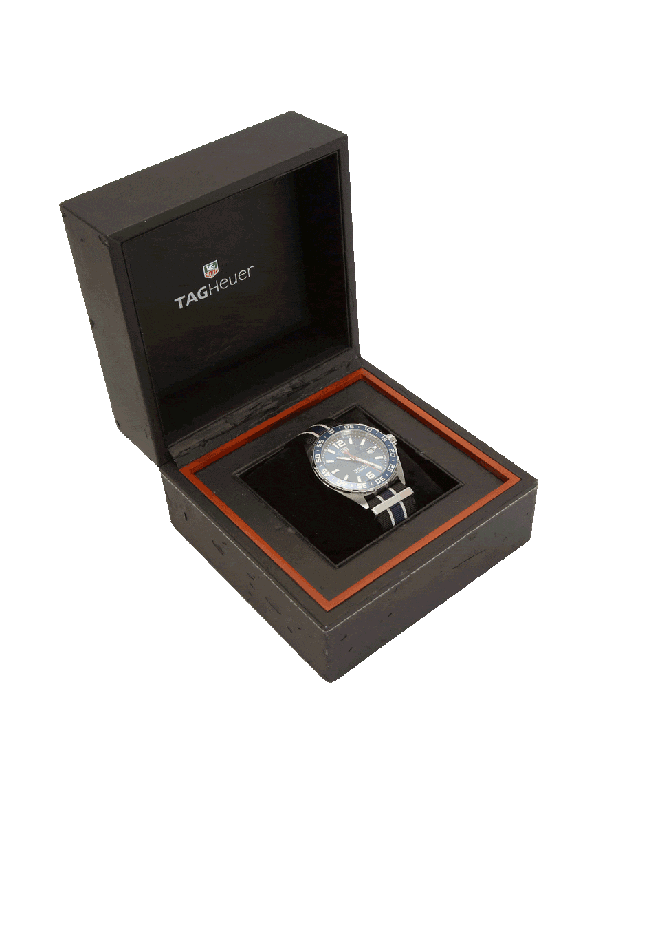 FORMULA 1 WATCH