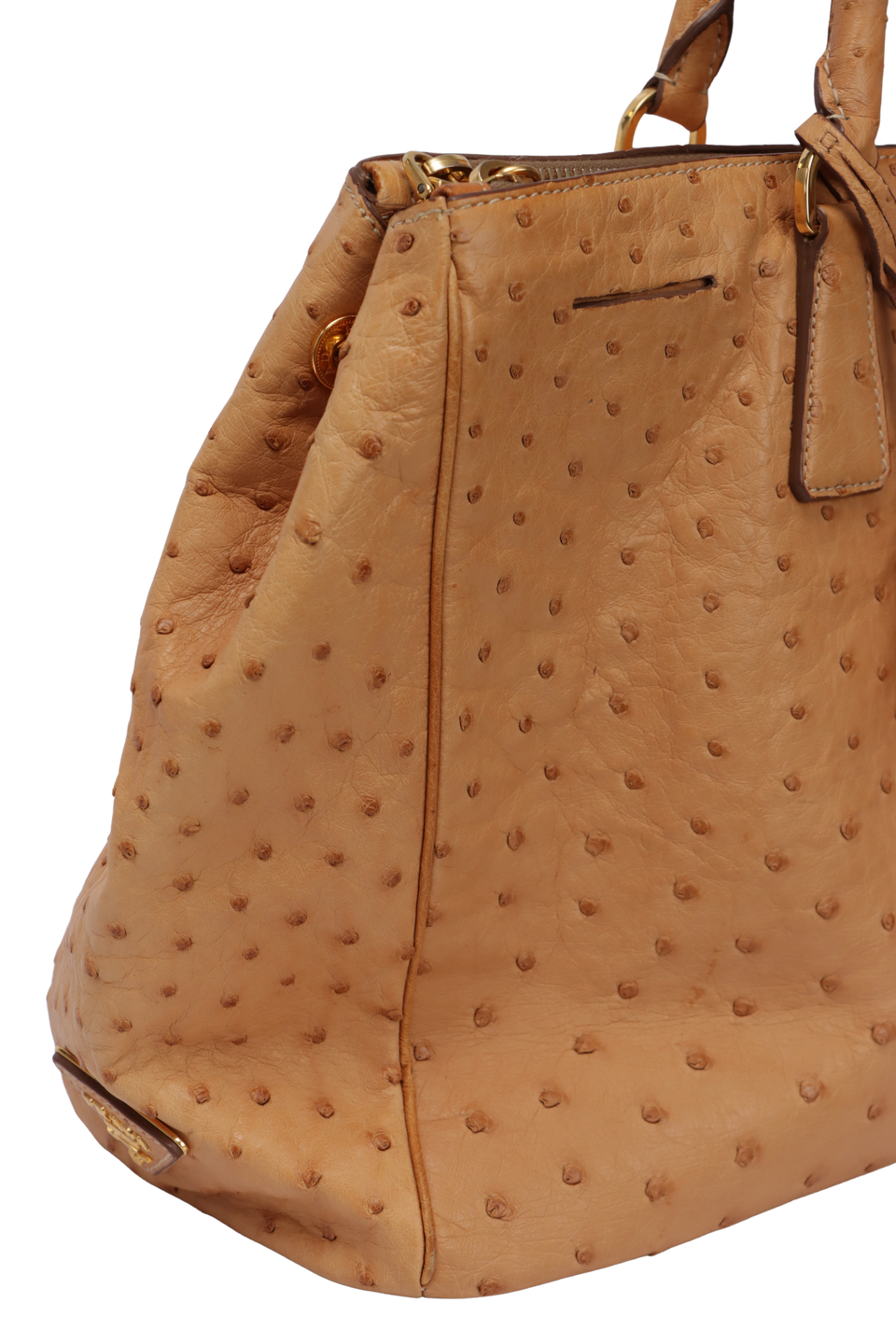 OSTRICH STRUZZO EXECUTIVE TOTE