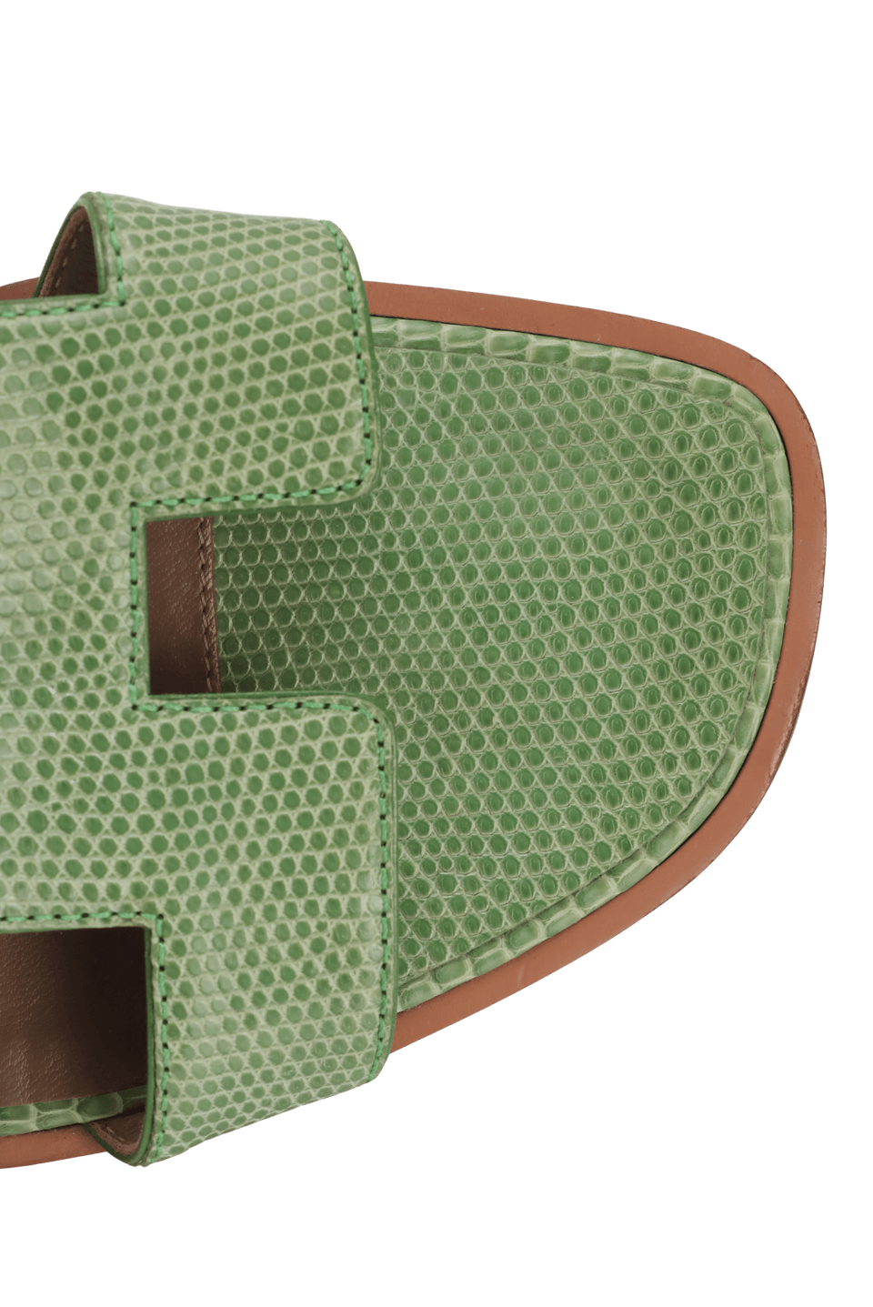 LIZARD ORAN SLIDES 36.5