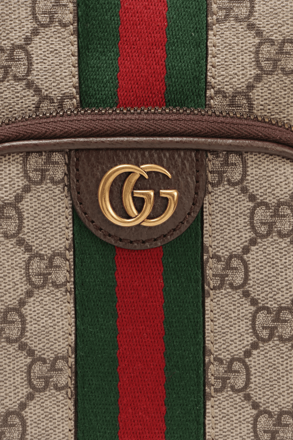 GG SUPREME OPHIDIA MINI BAG