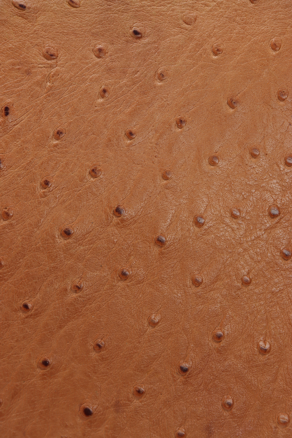 VINTAGE OSTRICH KELLY SELLIER 32