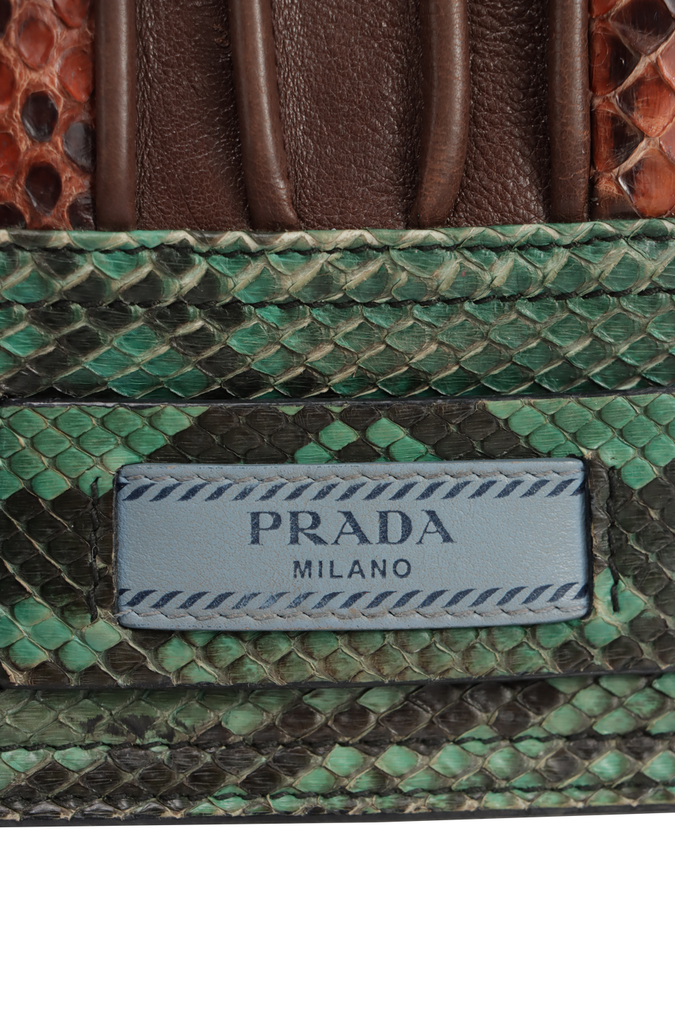 PYTHON ETIQUETTE BAG