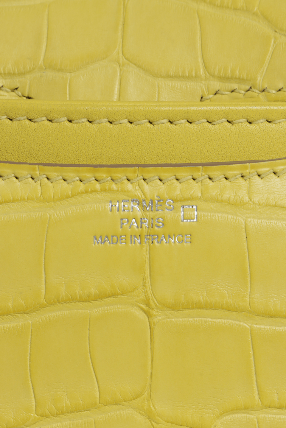 ALLIGATOR MISSISSIPPIENSIS CONSTANCE 18