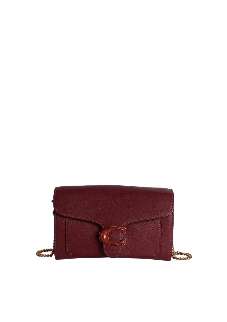 TABBY CHAIN CLUTCH