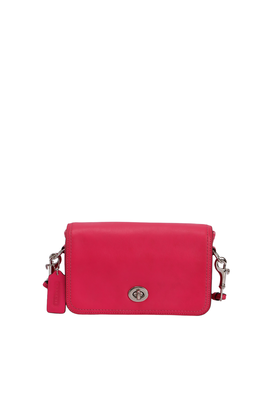 LEATHER PENNY POCKET BAG