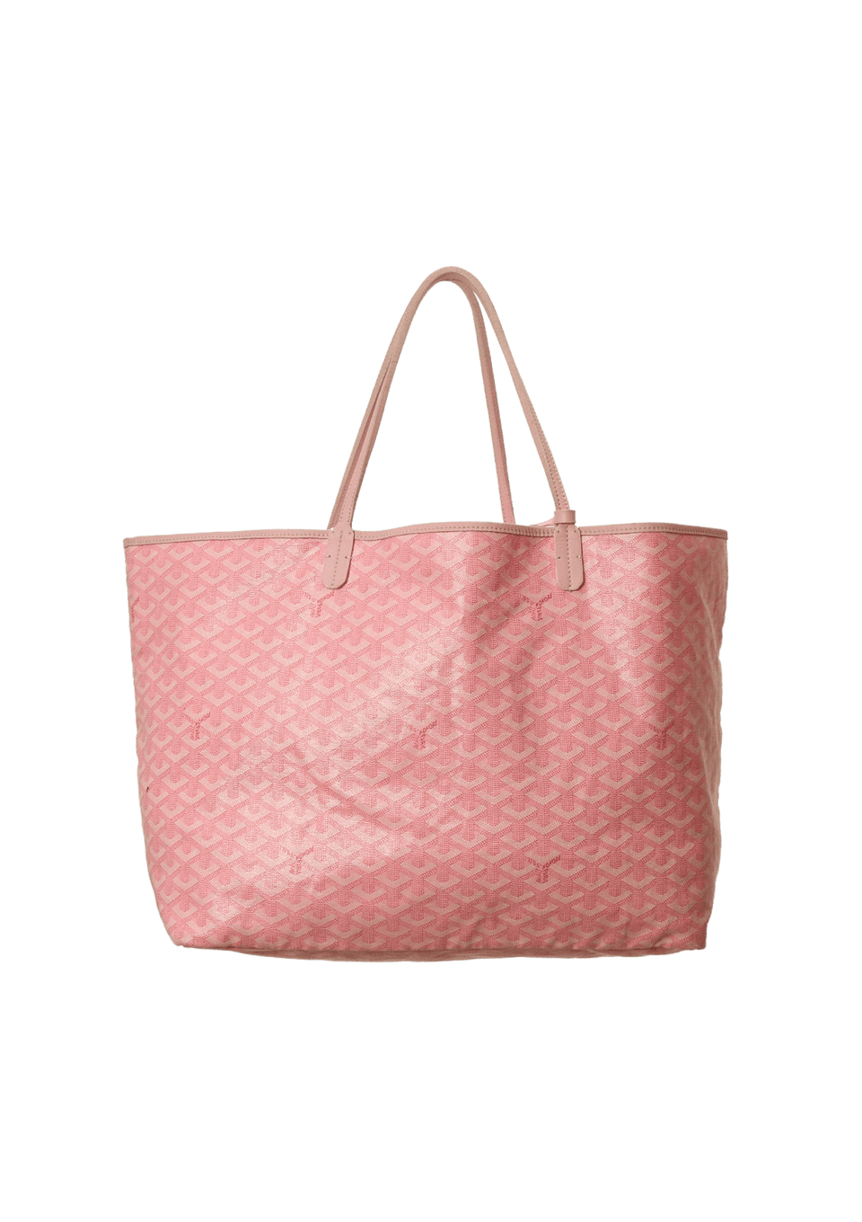 GOYARDINE ST LOUIS + POUCH