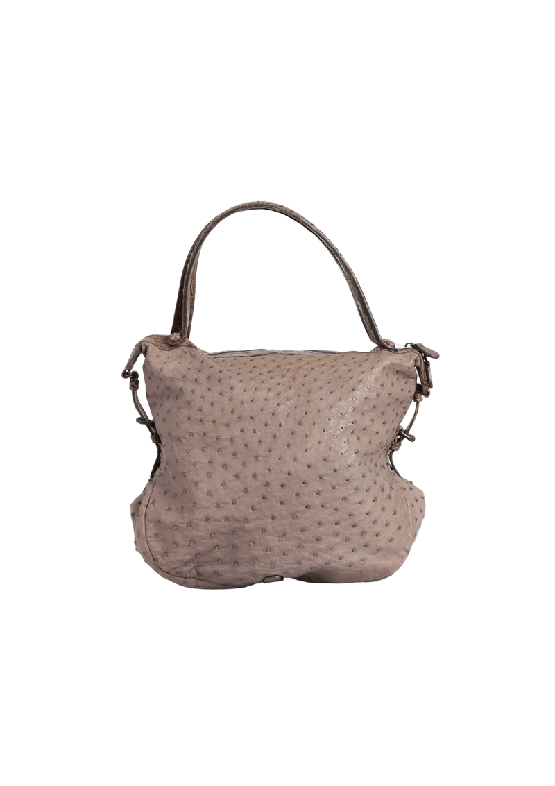 OSTRICH & CROCODILE HOBO