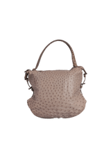 OSTRICH & CROCODILE HOBO