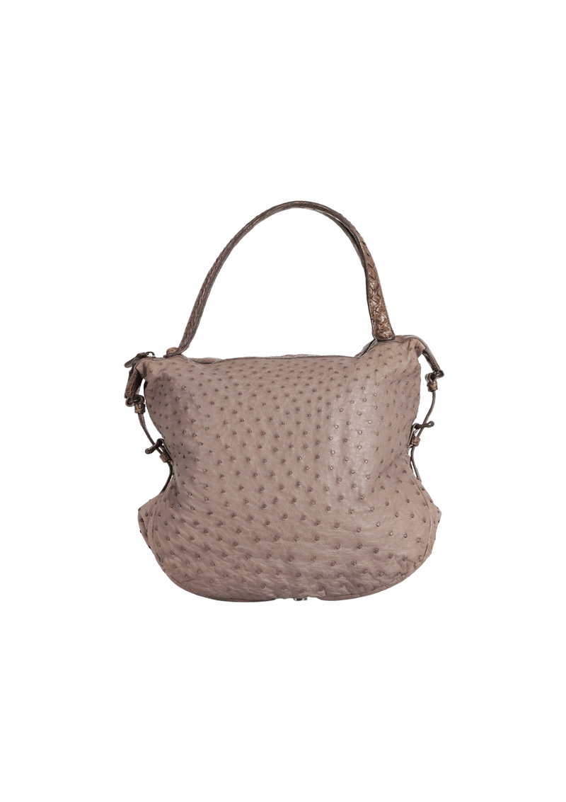 OSTRICH & CROCODILE HOBO