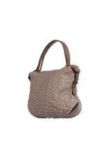 OSTRICH & CROCODILE HOBO