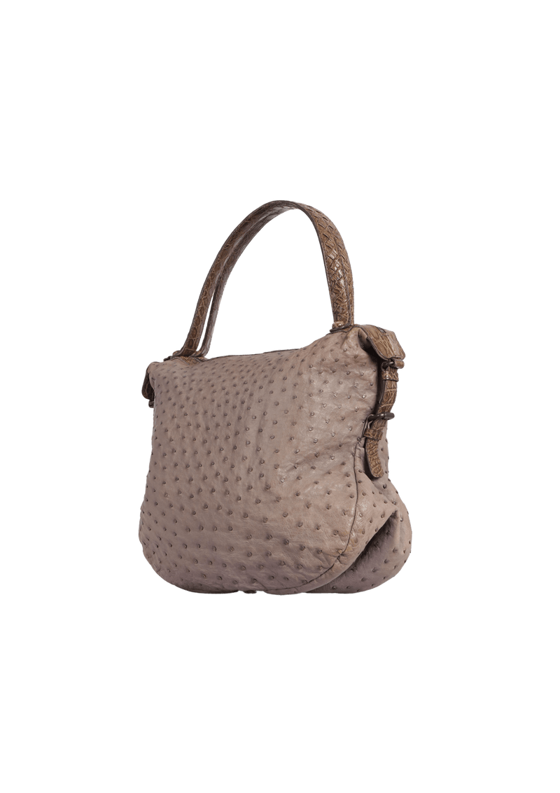 OSTRICH & CROCODILE HOBO