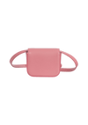 MINI TRIOMPHE BAG