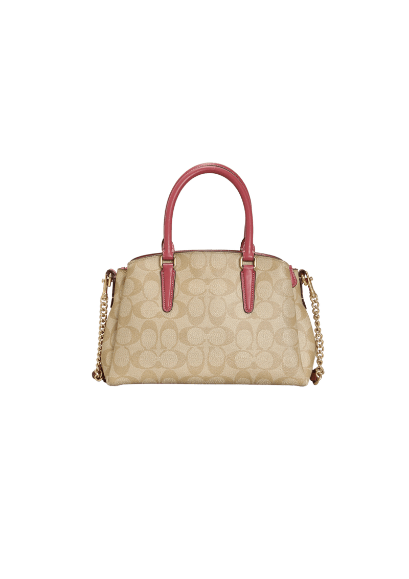 SIGNATURE SAGE CARRYALL MINI