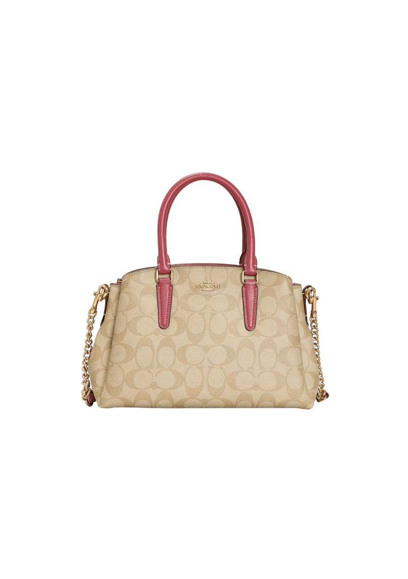 SIGNATURE SAGE CARRYALL MINI