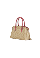 SIGNATURE SAGE CARRYALL MINI