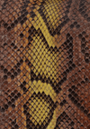 PYTHON TWINS TOTE