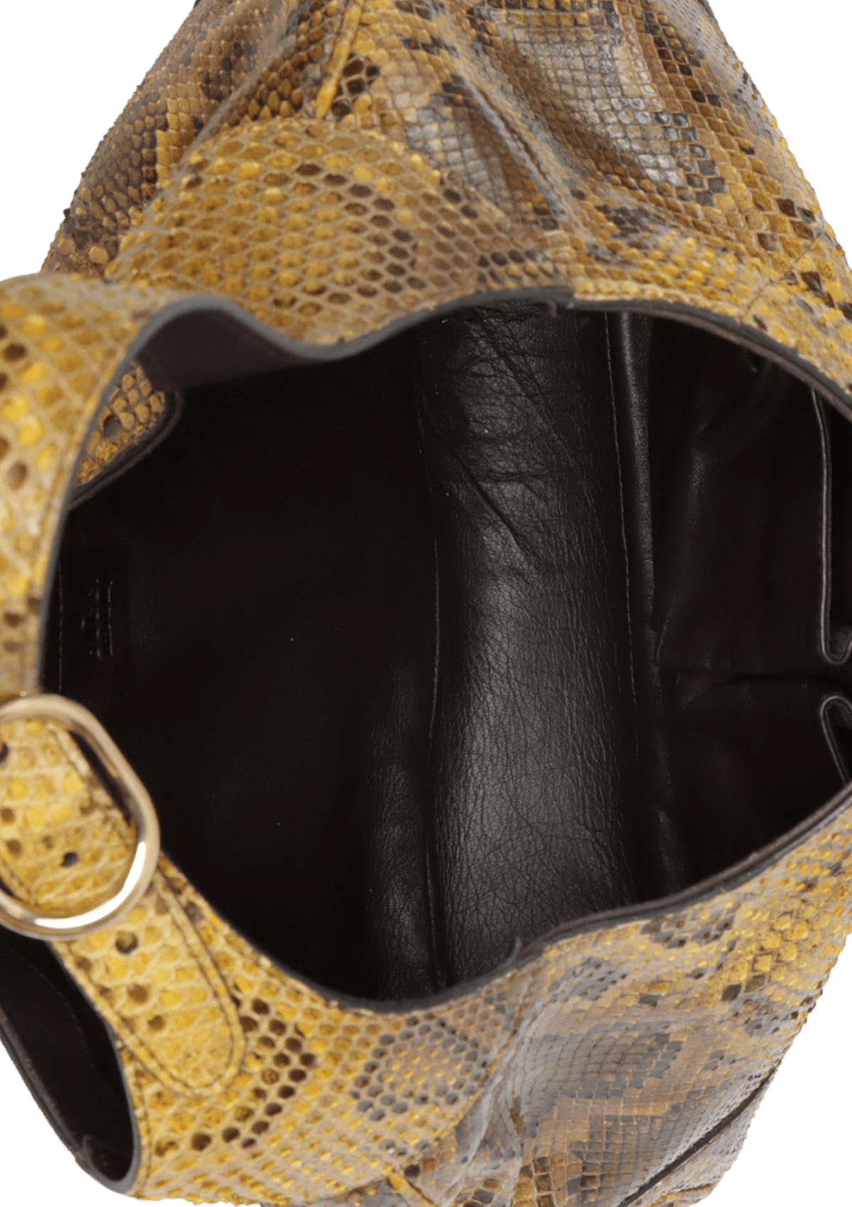 PYTHON JACKIE HOBO