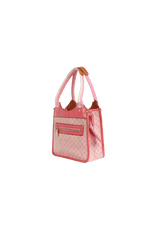 MINI LIN KATHLEEN BAG