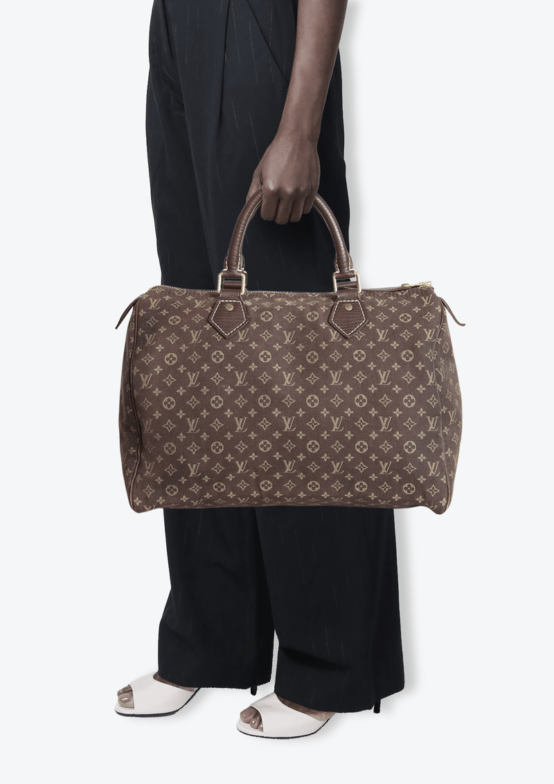 Louis Vuitton Monogram Mini Lin Speedy 30