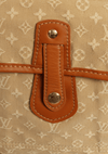 MINI MONOGRAM MARY MESSENGER BAG