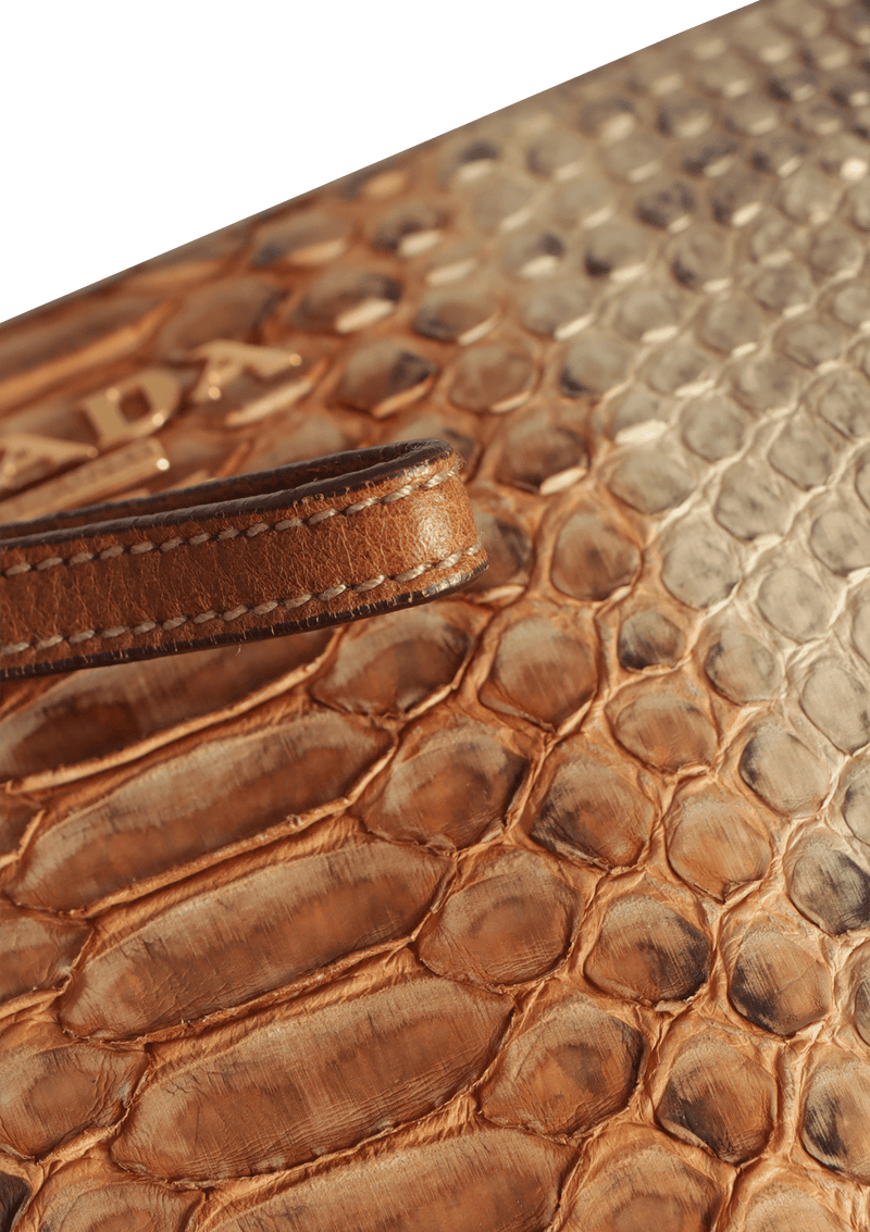 PYTHON CLUTCH