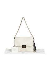 DIORLING BAG