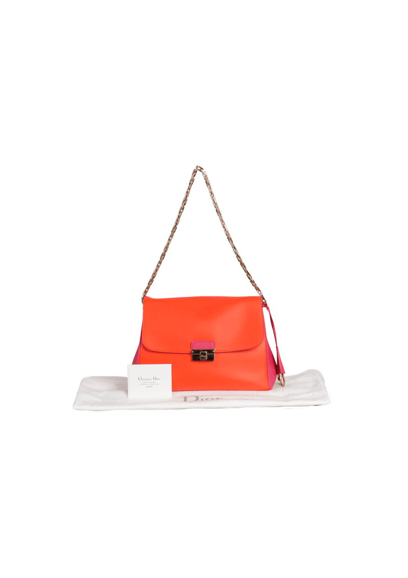 DIORLING BAG