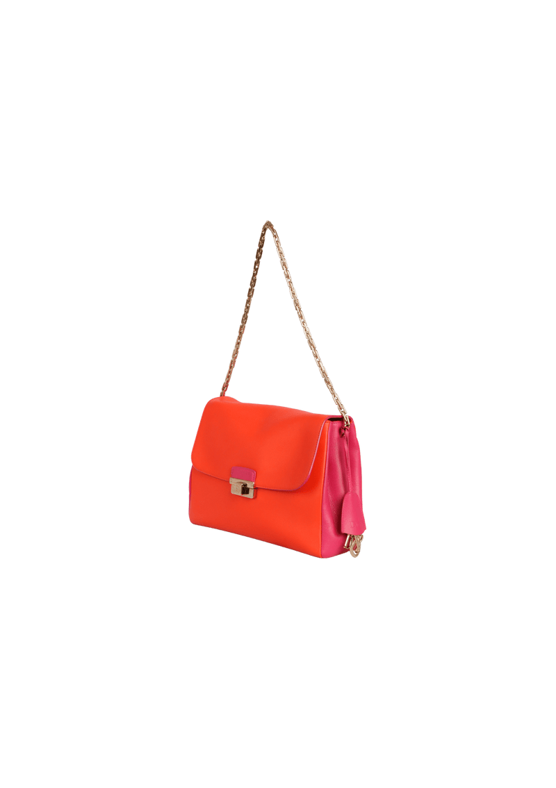 DIORLING BAG