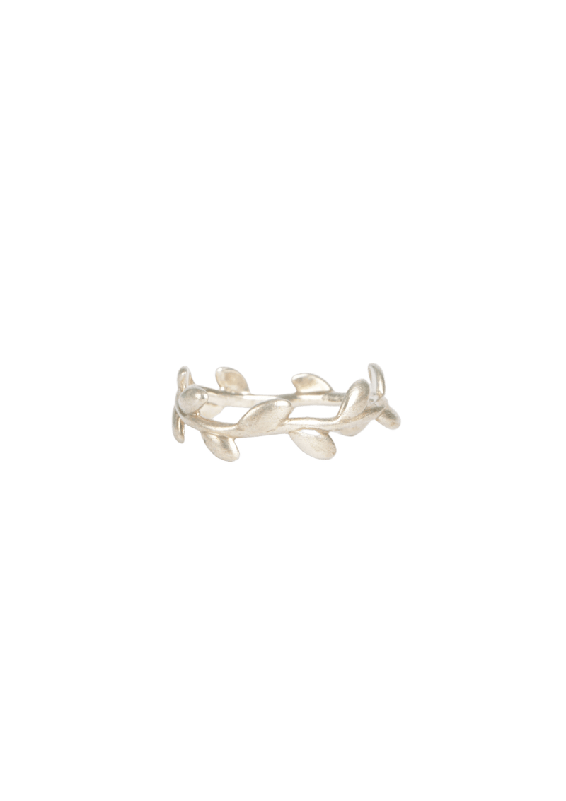 PALOMA PICASSO®OLIVE LEAF SET