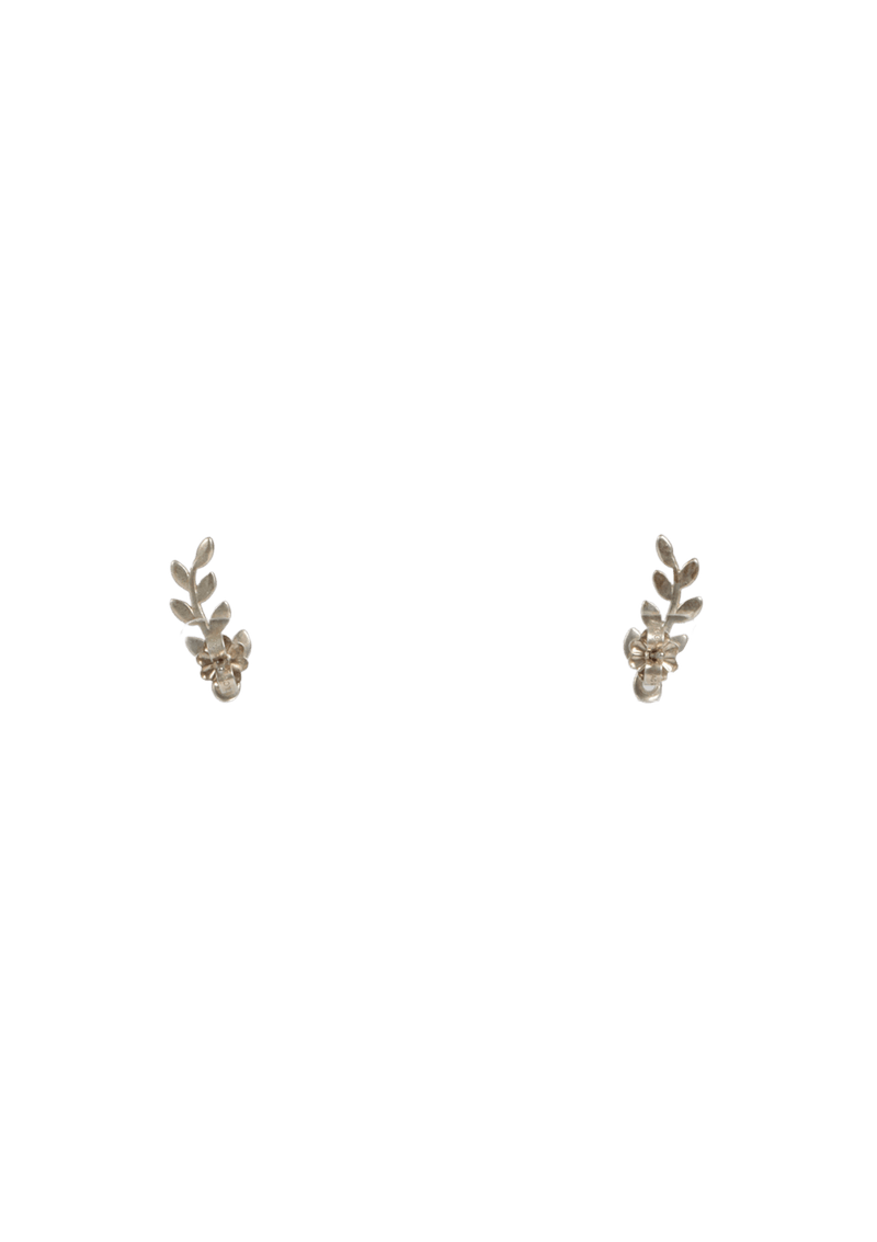 PALOMA PICASSO®OLIVE LEAF SET