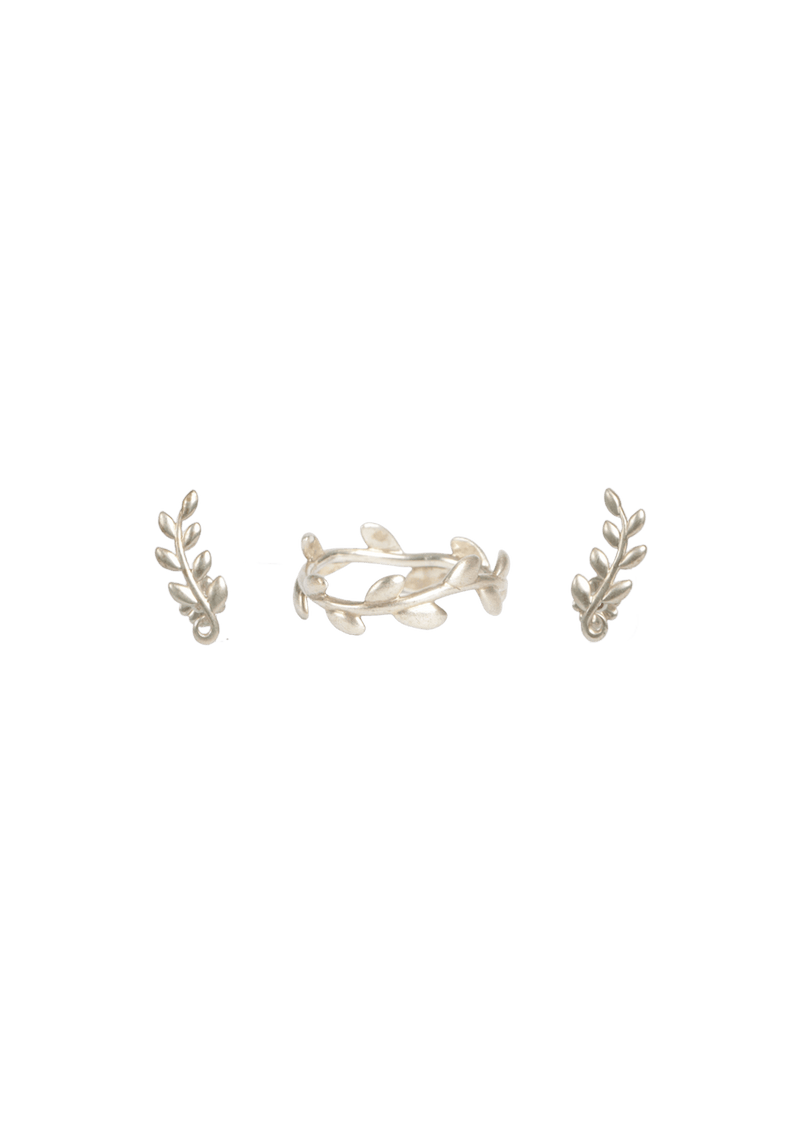 PALOMA PICASSO®OLIVE LEAF SET