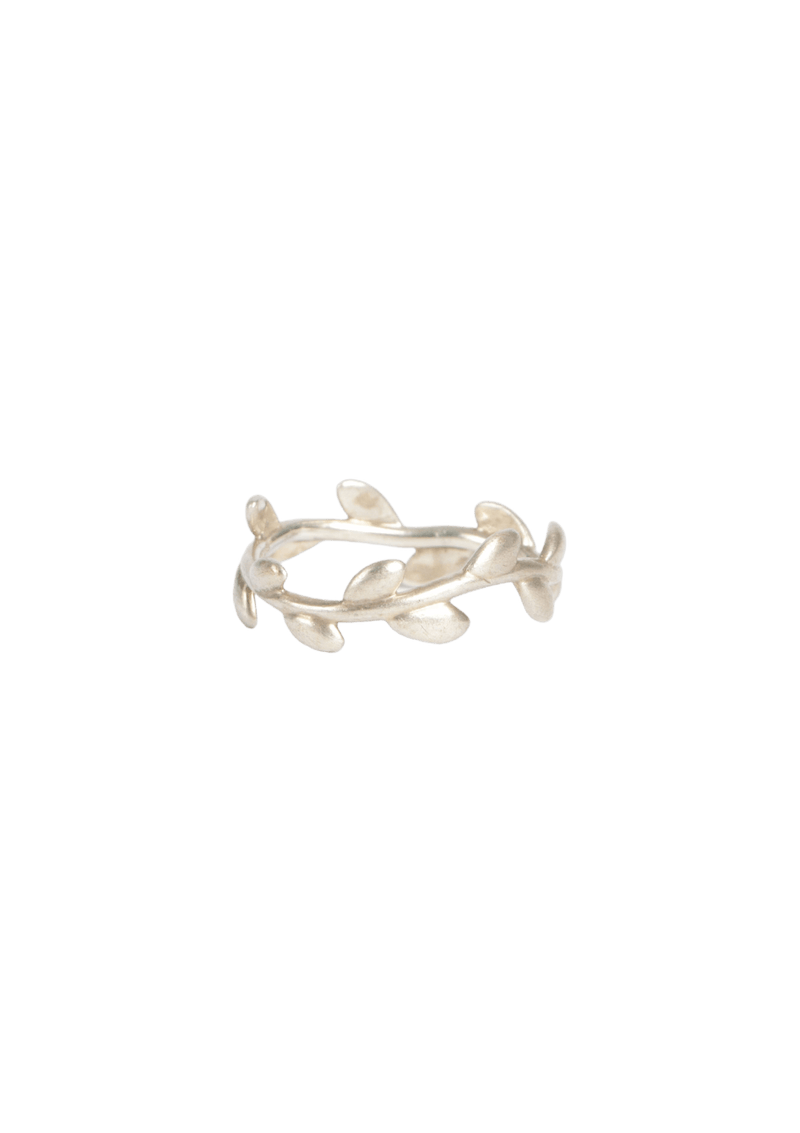 PALOMA PICASSO®OLIVE LEAF SET