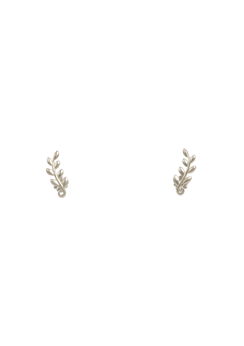 PALOMA PICASSO®OLIVE LEAF SET