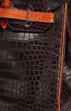 BICOLOR SHINY POROSUS CROCODILE BIRKIN 35