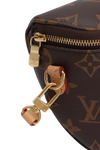 MONOGRAM MINI BUMBAG