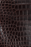 BICOLOR SHINY POROSUS CROCODILE BIRKIN 35