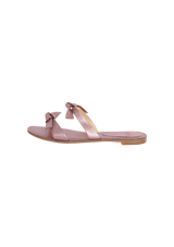 CLARITA SLIDE 38