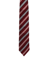 PRINTED SILK TIE