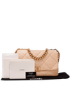 MAXI 19 FLAP BAG GOATSKIN