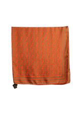 LENÇO FENDI PRINTED SILK SCARF ESTAMPADO ORIGINAL – Gringa