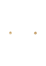 FLOWERS 18K EARRINGS