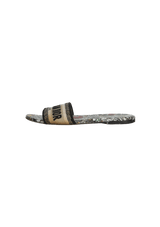 DWAY SLIDES 36