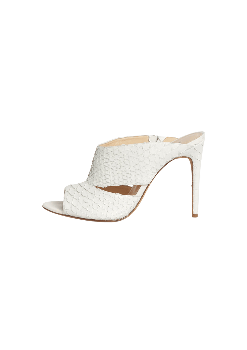 PYTHON MULES 39