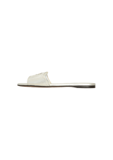 METALLIC SLIDES 38